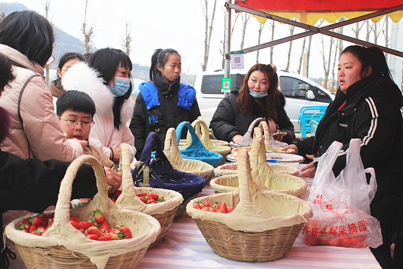 ��ݮ�h��c�´� | ���f�(zh��n)��ɽ�ڲ�ݮ��ժ��Ȥ���������w�(y��n)�e����ζ