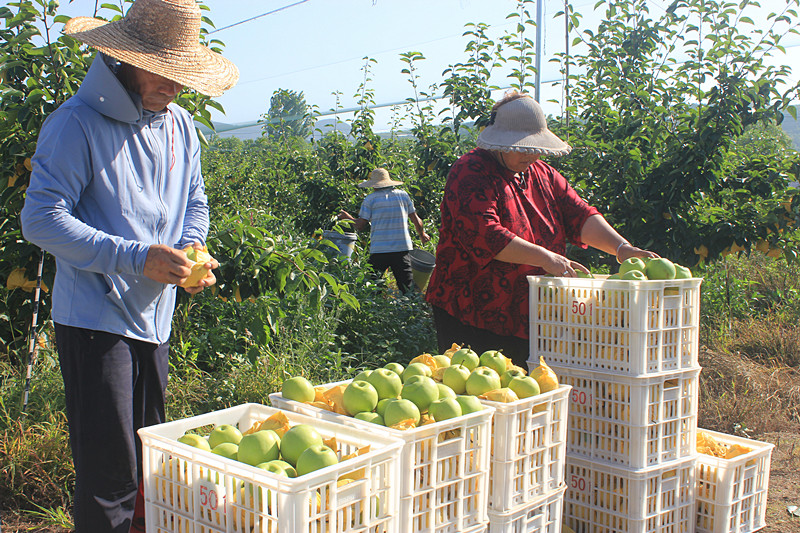 ��óԣ����Ѕ^(q��)ǰ�����@�����@������������