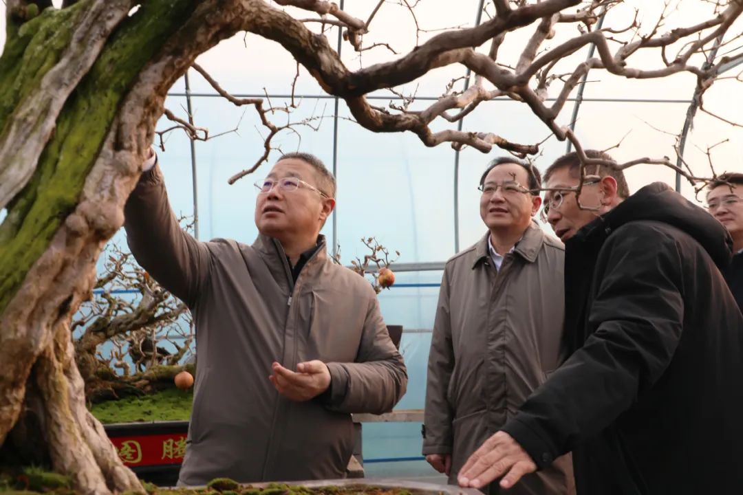 ���f��ί����ӛ������ί��ӛ�����ށ�F�ǅ^(q��)�{��ʯ��a(ch��n)�I(y��)�l(f��)չ����